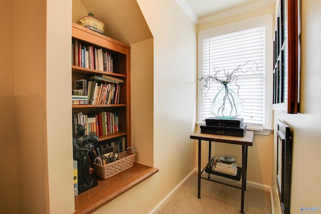 office area with baseboards, carpet, and ornamental molding