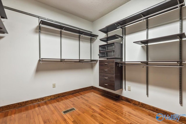 spacious closet featuring a wall mounted air conditioner and light hardwood / wood-style flooring