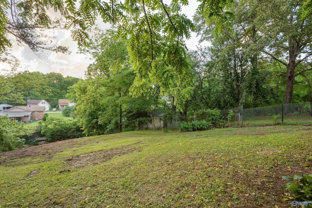 view of yard