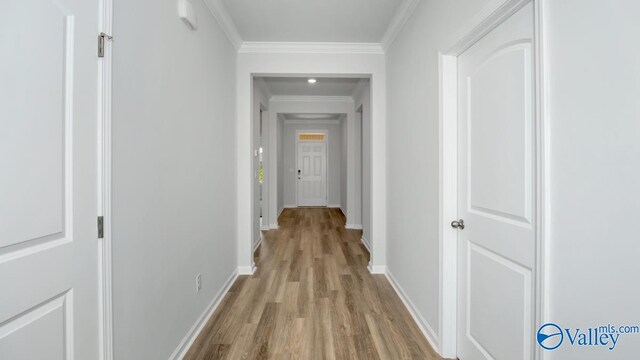 hall featuring light hardwood / wood-style floors and ornamental molding