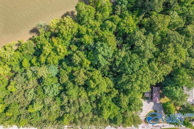 EE Moneys Bend Rd, Cedar Bluff, AL 35959