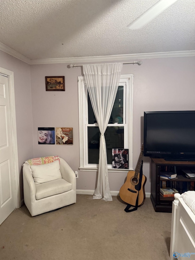 sitting room with crown molding and a textured ceiling