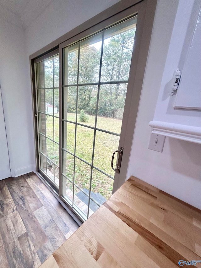 doorway featuring a healthy amount of sunlight and hardwood / wood-style flooring