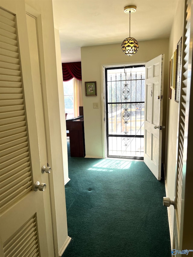 interior space featuring carpet floors and a healthy amount of sunlight