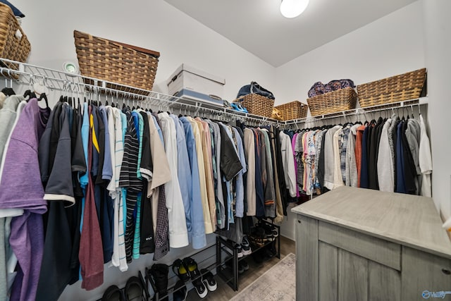 spacious closet with hardwood / wood-style floors