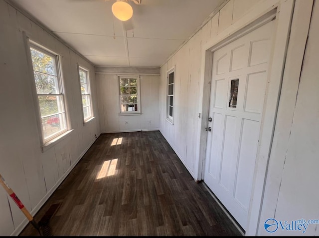 hallway featuring dark hardwood / wood-style floors and plenty of natural light