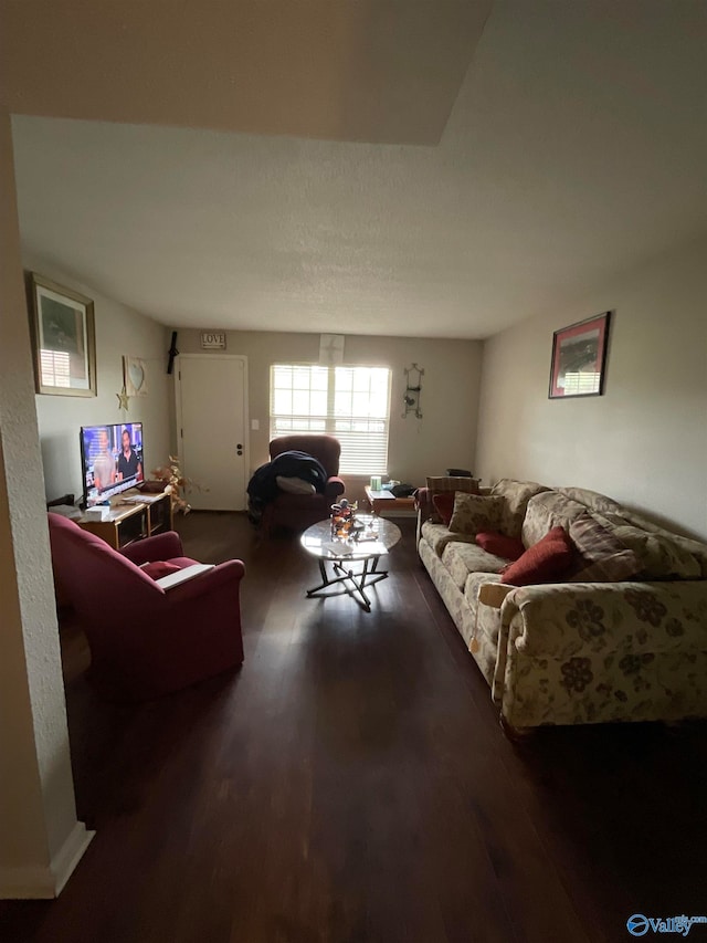 living room featuring dark wood-type flooring