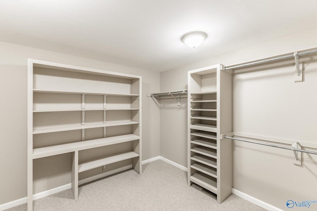 walk in closet featuring light colored carpet