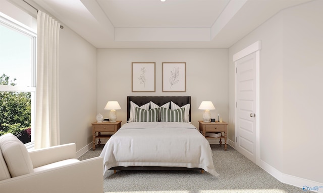 carpeted bedroom featuring a tray ceiling