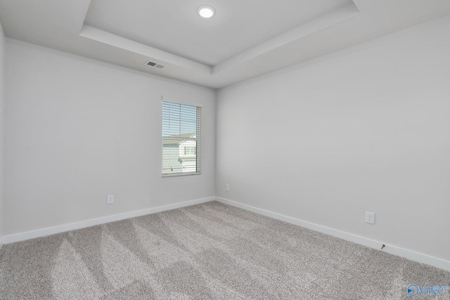 carpeted spare room featuring a raised ceiling