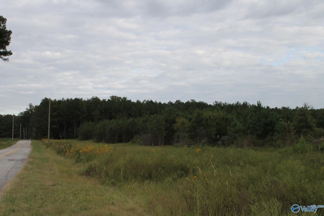 60ACRES County Road 239, Centre AL, 35960 land for sale