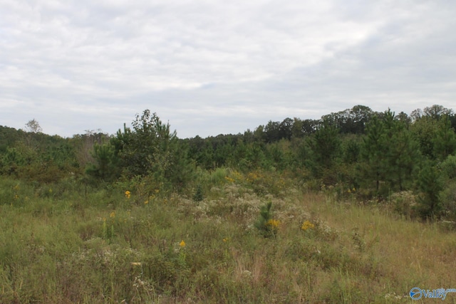 Listing photo 2 for 60ACRES County Road 239, Centre AL 35960