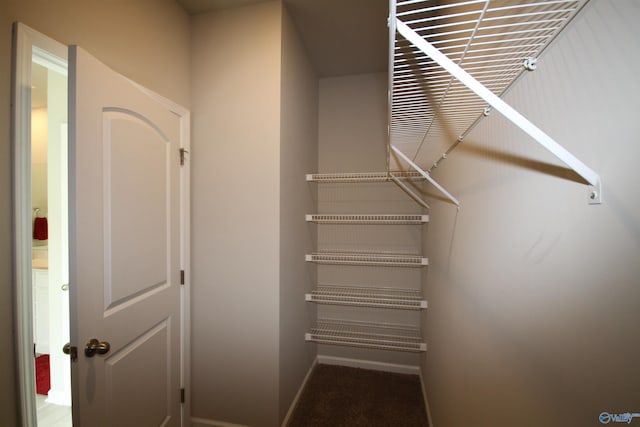view of walk in closet