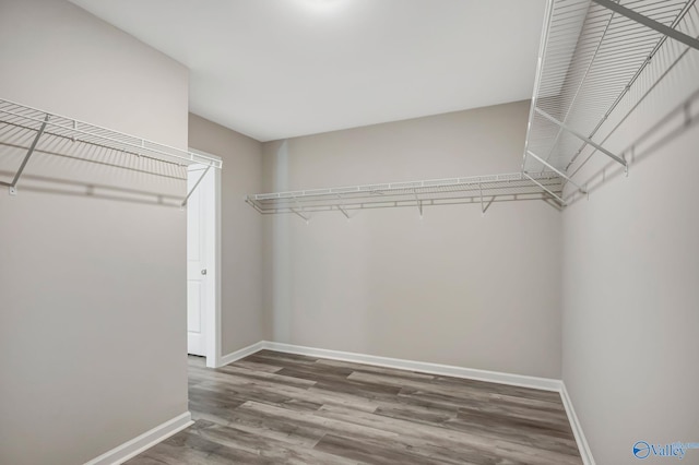 walk in closet with wood finished floors