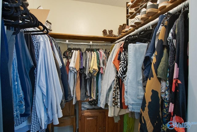 view of walk in closet