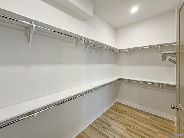 walk in closet featuring light wood-type flooring