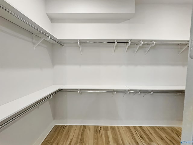 walk in closet with light hardwood / wood-style flooring