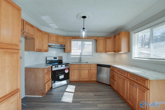 kitchen with appliances with stainless steel finishes, decorative light fixtures, sink, dark wood-type flooring, and ornamental molding