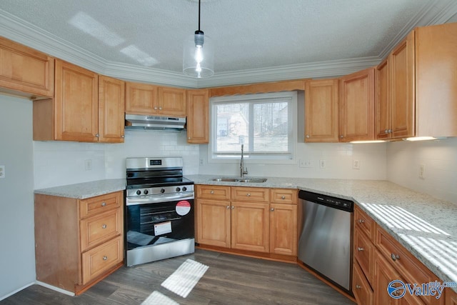 kitchen with sink, stainless steel appliances, hanging light fixtures, and ornamental molding