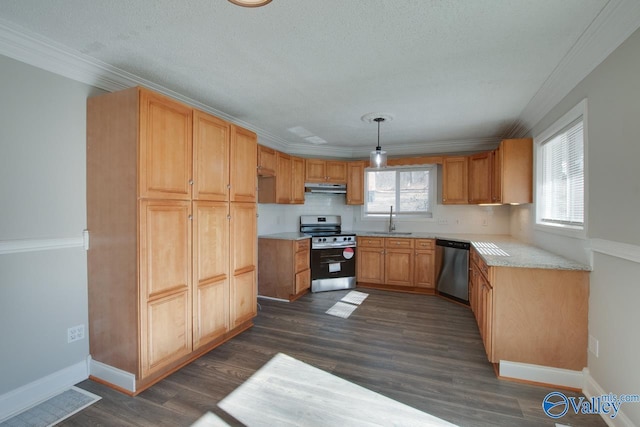 kitchen with crown molding, hanging light fixtures, appliances with stainless steel finishes, sink, and dark hardwood / wood-style floors