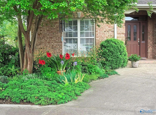 entrance to property featuring brick siding