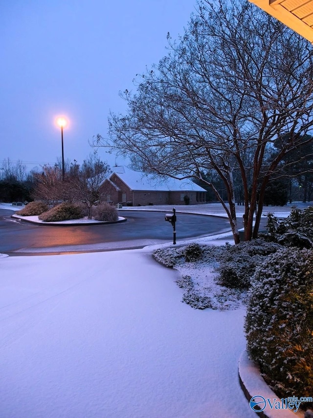 view of snowy yard