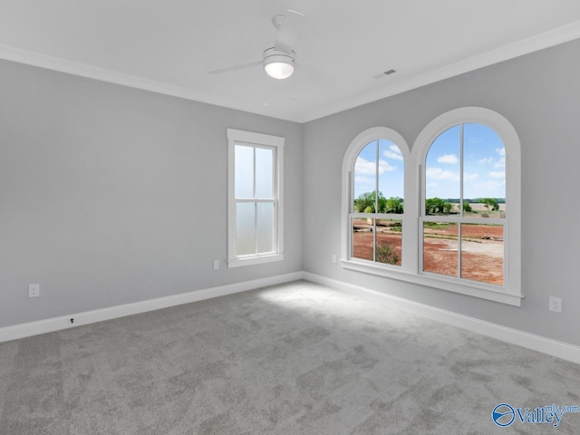 carpeted spare room with ceiling fan and ornamental molding