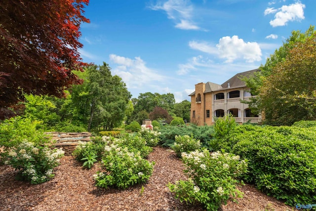 view of yard featuring a balcony