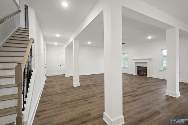 basement featuring a premium fireplace and dark hardwood / wood-style flooring