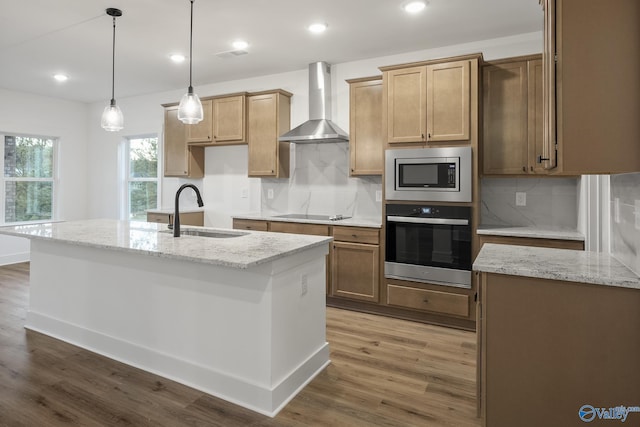 kitchen featuring wall chimney exhaust hood, stainless steel appliances, sink, and an island with sink