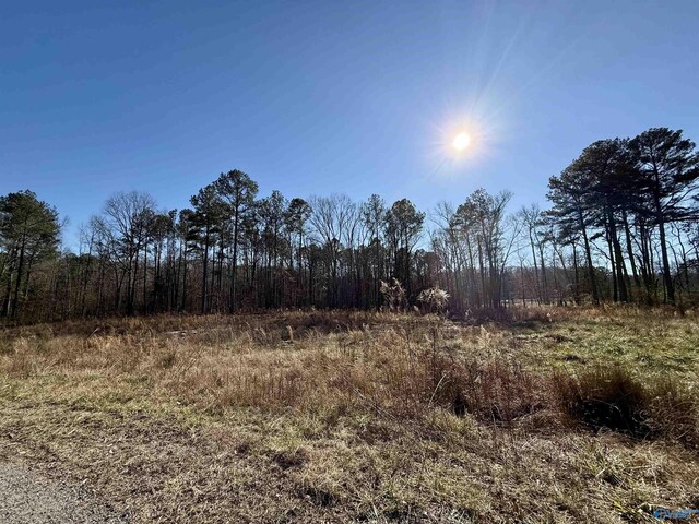 Listing photo 2 for LOT26 Chambers Rd, Arab AL 35016