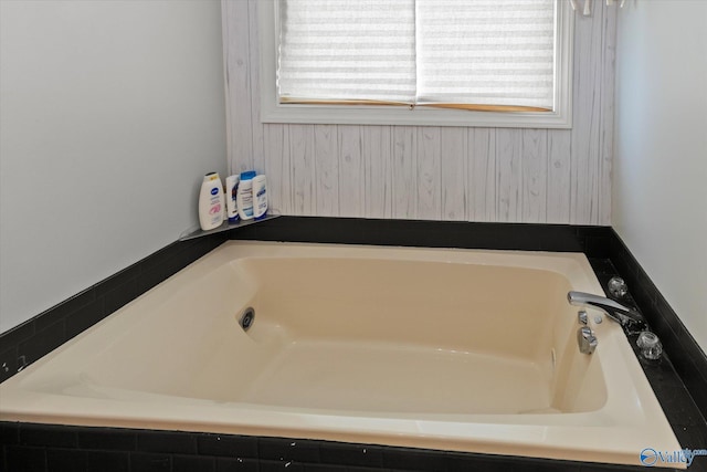2413 Remington Cir SW, Decatur, AL 35601 - bathroom featuring plenty of natural light and a bath