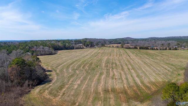 Listing photo 3 for 80.14ACRES Brks Lake Rd, Lincoln AL 35096