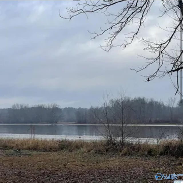 1000 County Road 1008, Cedar Bluff AL, 35960 land for sale