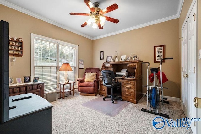 carpeted office with ornamental molding and ceiling fan