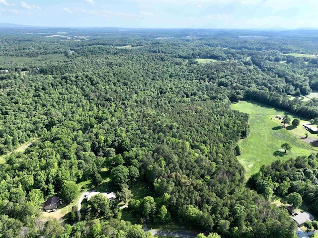 154 Deer Trace Rd, Pell City, AL 35125