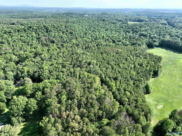 154 Deer Trace Rd, Pell City, AL 35125