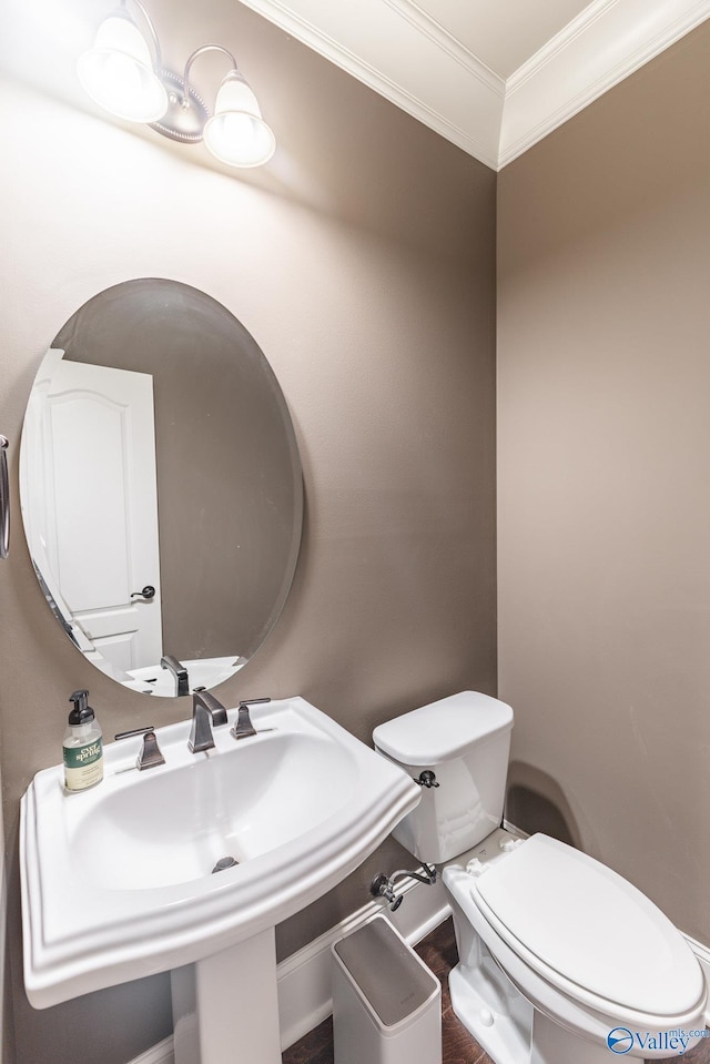 bathroom with a sink, crown molding, and toilet