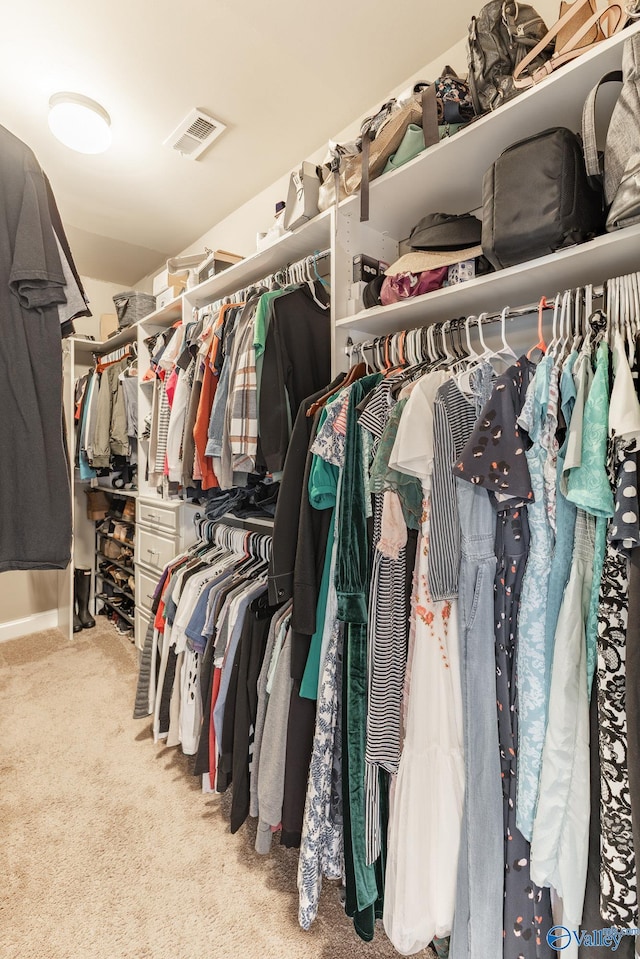 walk in closet with visible vents and carpet flooring