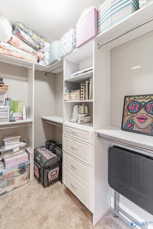 spacious closet featuring light colored carpet