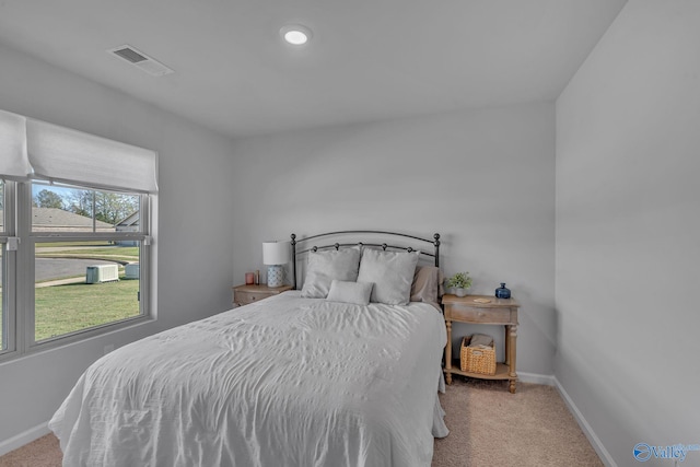 bedroom with carpet flooring