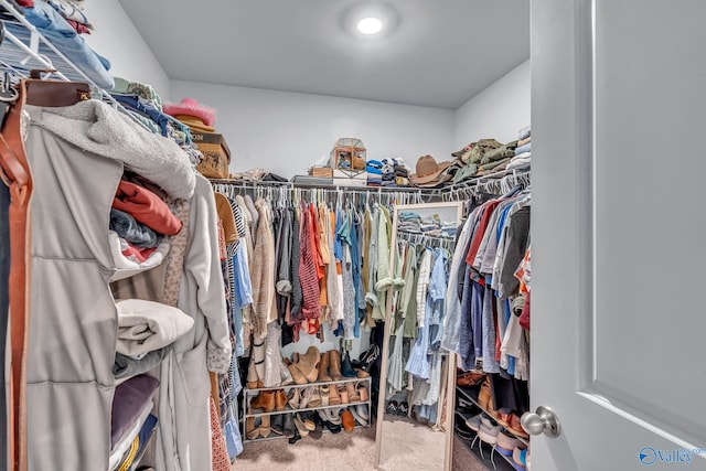 walk in closet with carpet