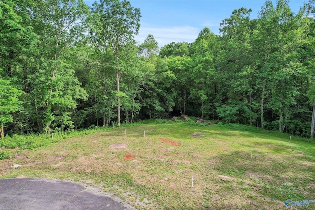 LOTS16-18 Creekside Ln SE, Arab, AL 35016