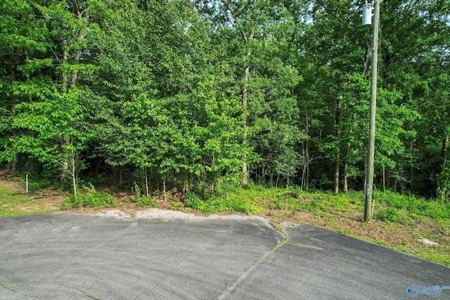 LOTS16-18 Creekside Ln SE, Arab, AL 35016