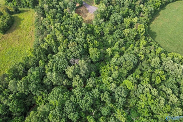LOTS16-18 Creekside Ln SE, Arab, AL 35016