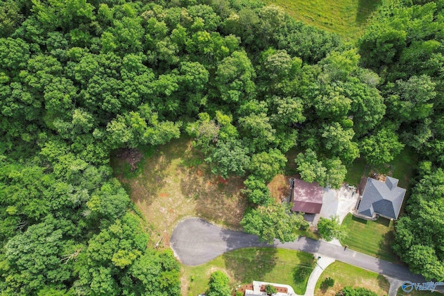 LOTS16-18 Creekside Ln SE, Arab, AL 35016