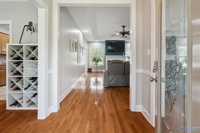 2801 Mountain View Dr, Southside, AL 35907 - hall with light wood finished floors and baseboards