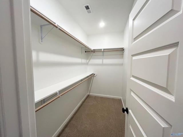 spacious closet featuring carpet floors and visible vents