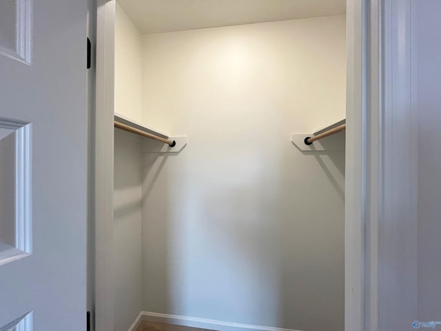 view of spacious closet