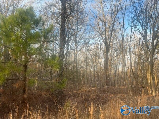 3/-ACRES County Road 137, Cedar Bluff AL, 35959 land for sale